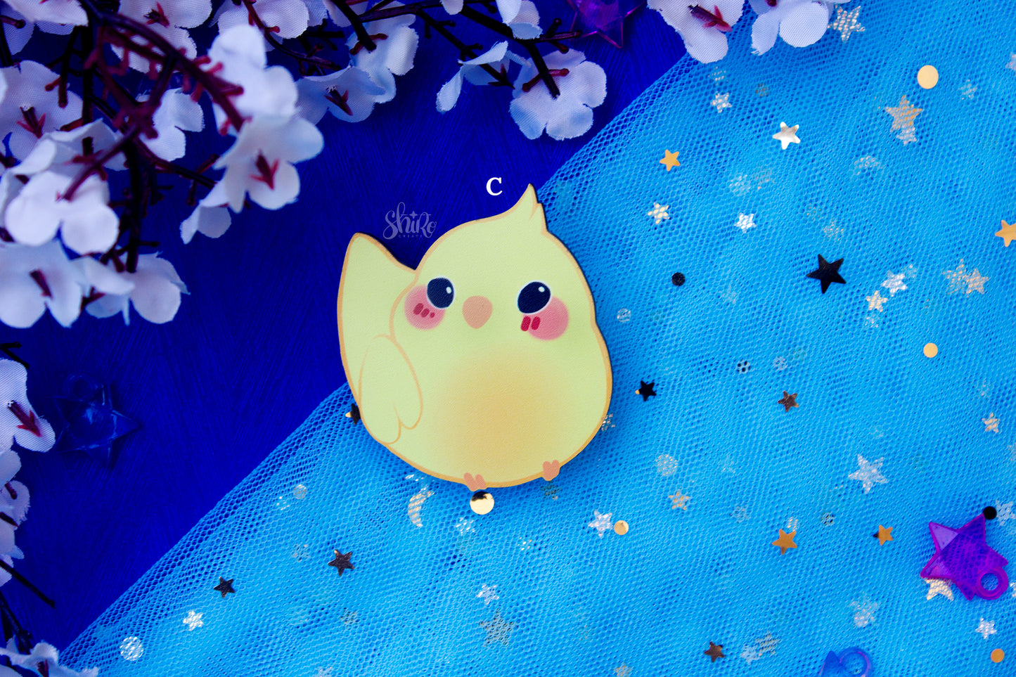 Bird Family pin set